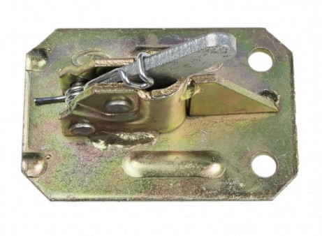 Castanha de Mola (50 Un.) |H.03000.010