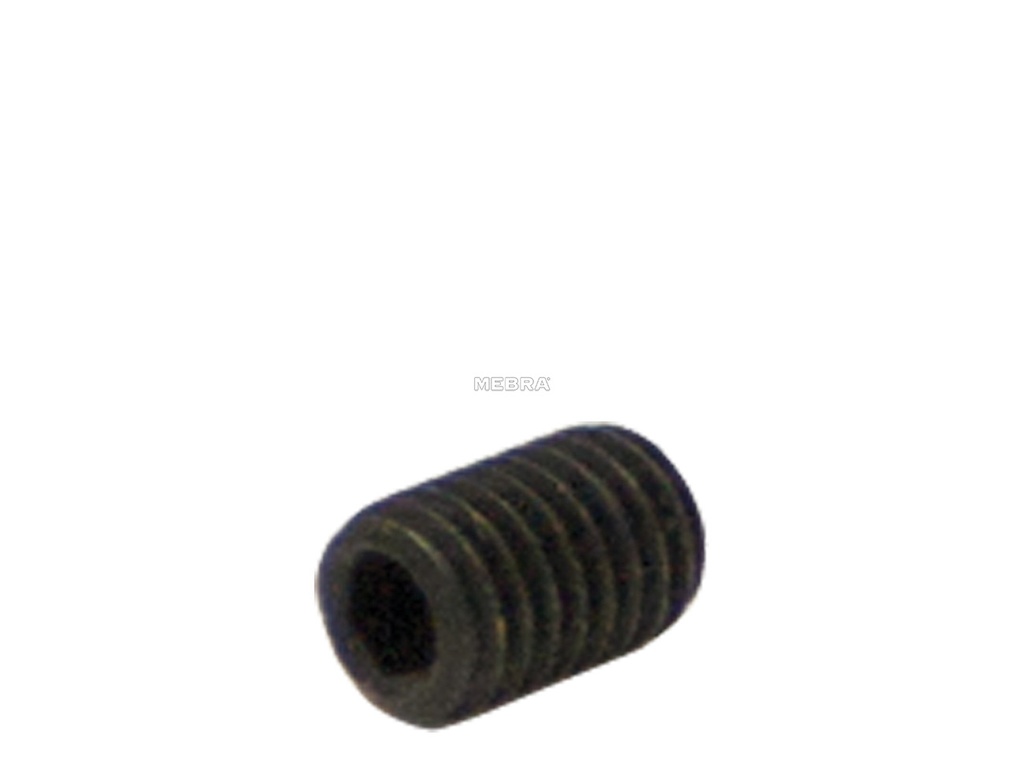 Parafuso  para  Manípulo M4x8,5 | Ref. 0761.0100 – P&F MB