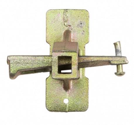 Castanha de Cunha  |H.03001.0100  