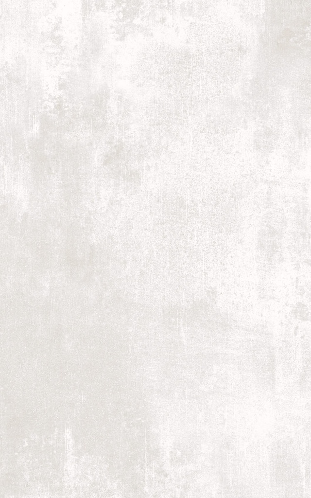 Revestimento Easy Silver Brilho 25x40