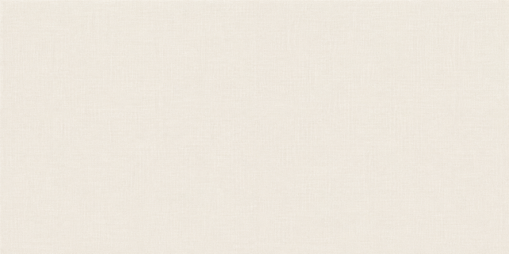  Revestimento Luso Cinza Mate - 25x50 