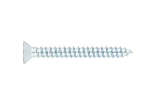 [#IND50VT8242025] Parafuso com Cabeça Escareada Zincada - 4,2x25mm 