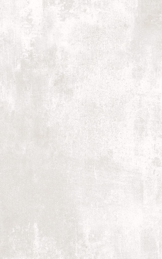 [9510811240EY09] Revestimento Easy Silver Brilho 25x40